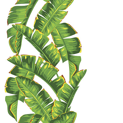 芭蕉叶无缝图案。装饰热带植物