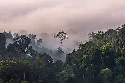 泰国keng kachan国家公园panothung景点的山脉和雾的美丽景色