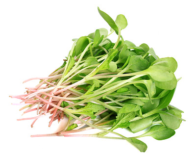 豆