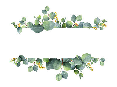 植物学