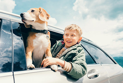 男孩和狗从车窗向外看