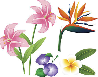 百合字体图片大全 百合字体设计素材 百合字体模板下载 百合字体图库 昵图网soso Nipic Com