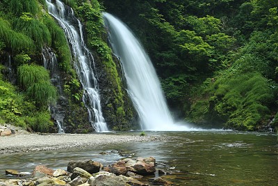 斯里沃佛尔