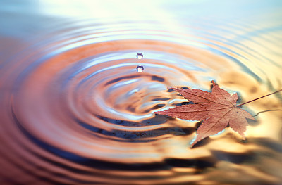 干燥的大理石叶子上的水，色调秋天的背景