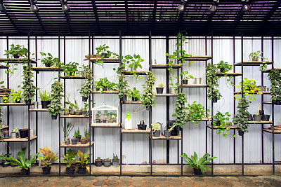 植物花园苗圃图片大全 植物花园苗圃设计素材 植物花园苗圃模板下载 植物花园苗圃图库 昵图网soso Nipic Com