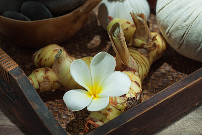 良姜花图片大全 良姜花设计素材 良姜花模板下载 良姜花图库 昵图网soso Nipic Com 良姜花图片大全 良姜花设计素材 良姜花模板下载 良姜花图库 昵图网soso Nipic Com