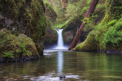 Punchbowl Falls