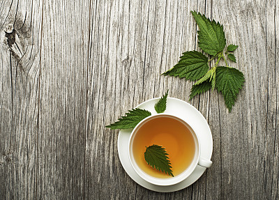 刺荨麻