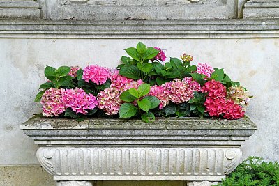 窗台花箱