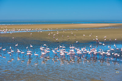 沃尔维斯湾