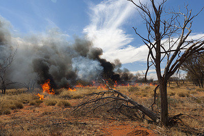 澳大利亚内陆的森林大火