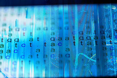 DNA编码数据与计算服务器