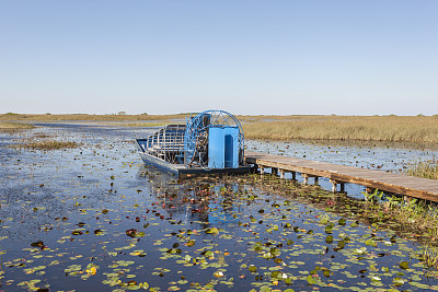 沼泽