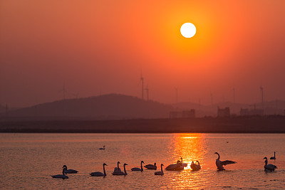 中国天鹅湖上的日落