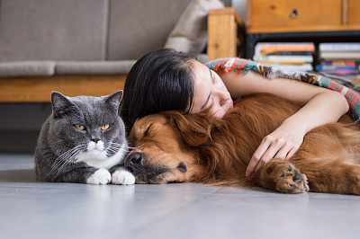 小猫