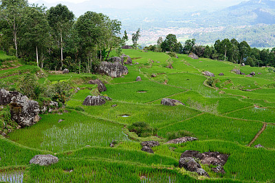 山