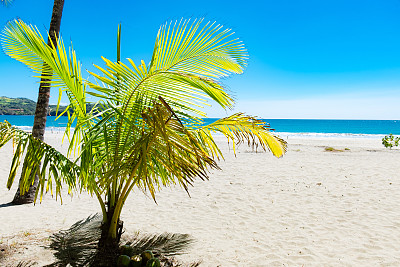 Playa Carrillo