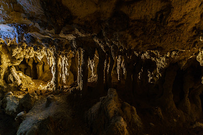Waitomo Caves