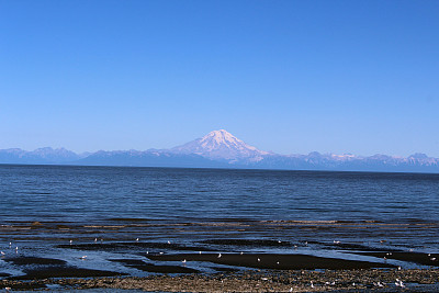 阿拉斯加海湾