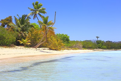热带天堂:沙漠荒芜的绿松石海滩，Saona岛，Punta Cana -多米尼加共和国