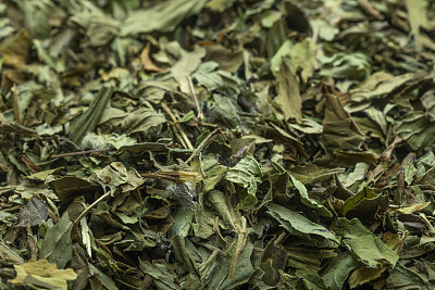 薄荷花茶图片大全 薄荷花茶设计素材 薄荷花茶模板下载 薄荷花茶图库 昵图网soso Nipic Com