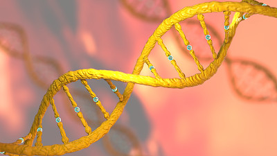 DNA分子生物化学的概念