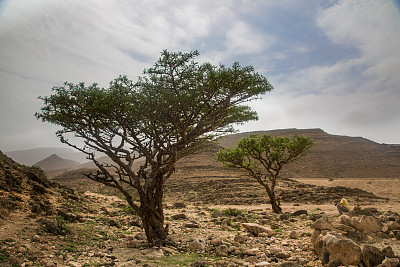 Dhofar