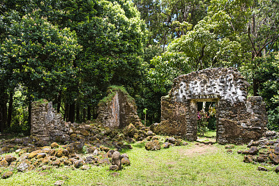 King Kamehameha