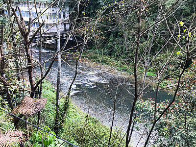 小溪