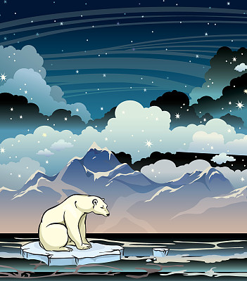 北极熊，大海，高山和夜空。