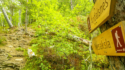 挪威Andalsnes的Nesaksla山的路标。