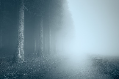阴沉的风景和雾蒙蒙的道路
