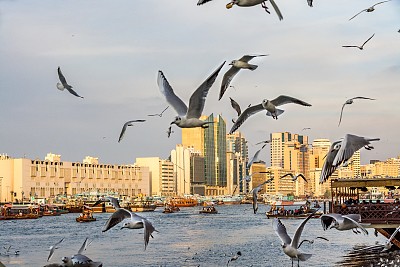杜拜内港