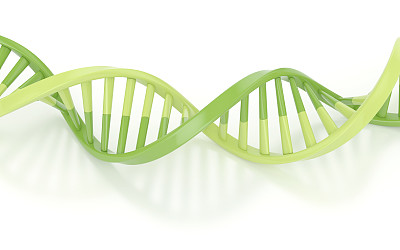 绿色的DNA结构