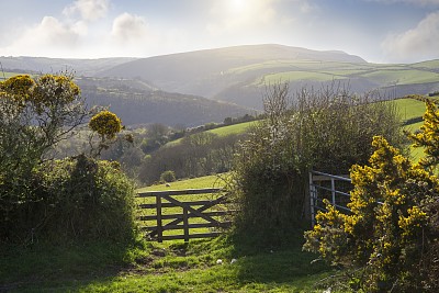 Exmoor