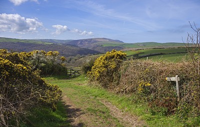 Exmoor