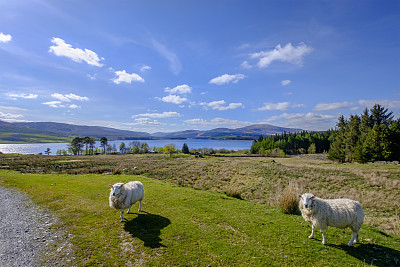 苏格兰加洛威森林公园里的喀丁肖湖