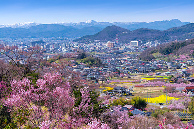 东北片区