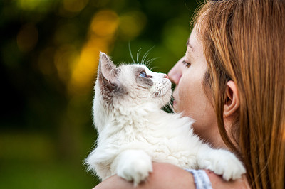 人和猫图片大全,人和猫设计素材,人和猫模板下载,人和猫图库_昵图网 soso.nipic.com