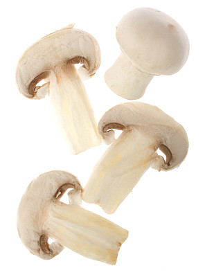 白蘑菇