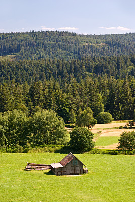 瑞士阿尔卑斯山的大片田野和几座古老的农舍