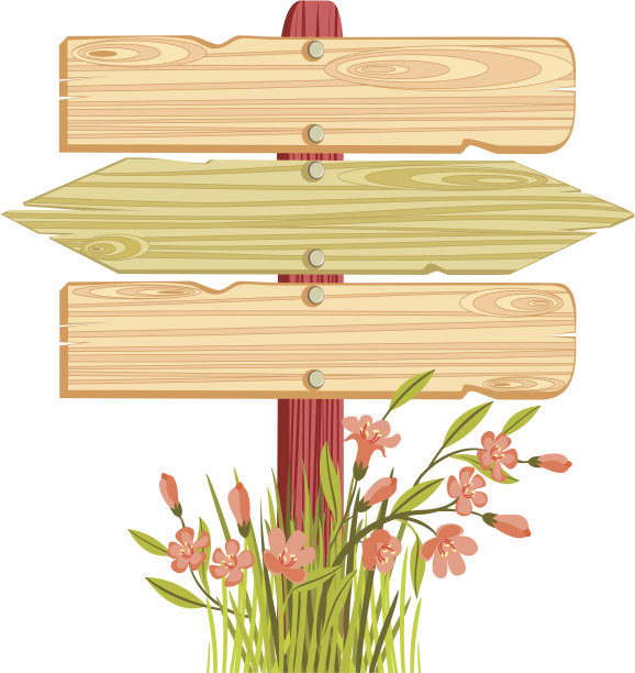 褐色,式样,花