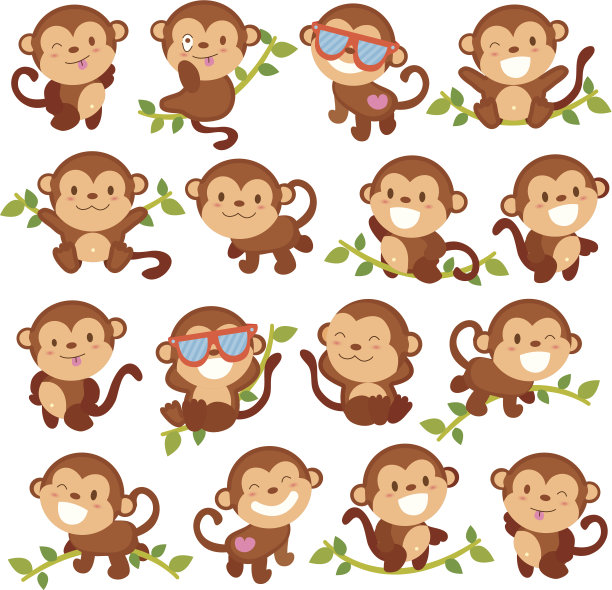 monkey