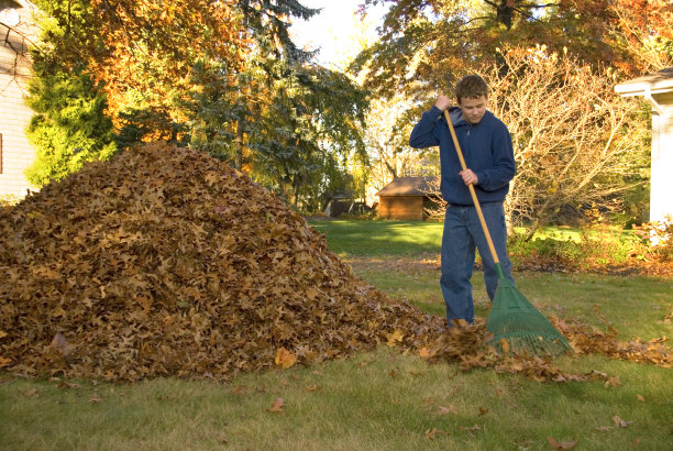 rake