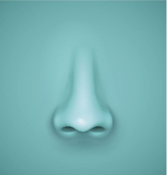 nose