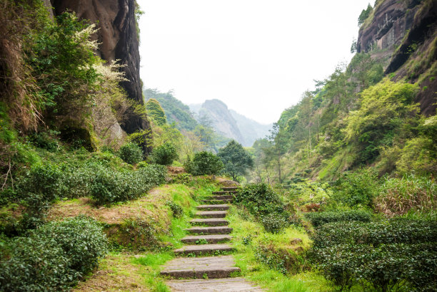 fujian