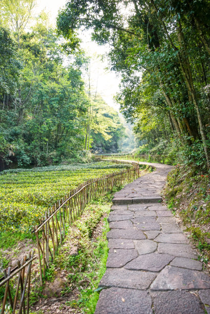武夷山