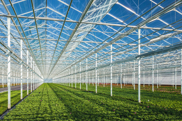 greenhouse