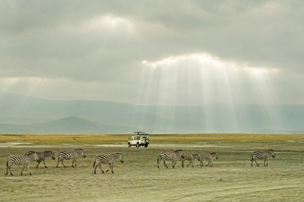 ngorongoro
