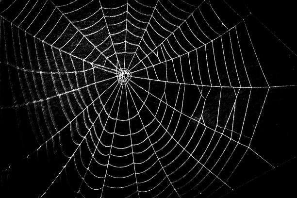 web